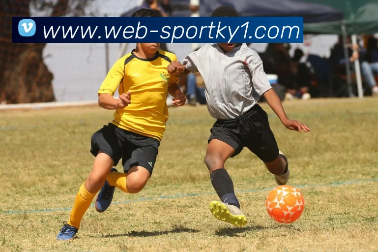 开云体育服务体系